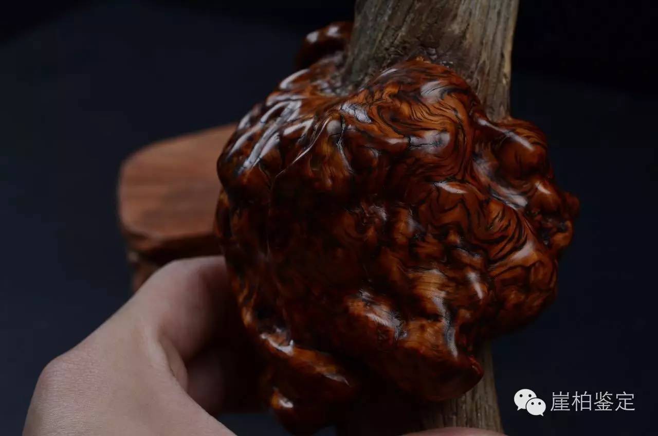 崖柏陈化料打磨方法和步骤图解,太行崖柏老料和陈化料有什么区别