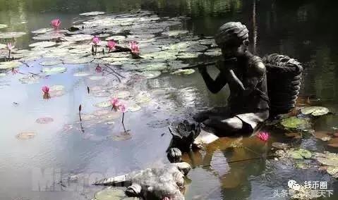 疯狂“五帝钱”，年年涨！它是怎么做到的？