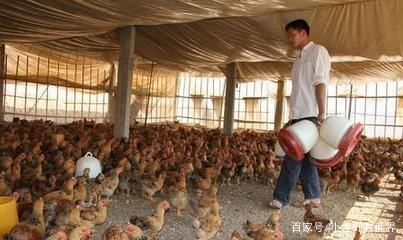 男性细菌感染药,男子感染超级细菌险丧命