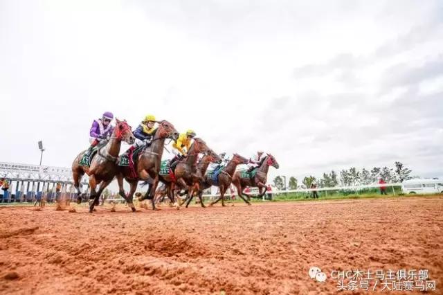 看赛马的意义在哪里,为什么看马术要戴礼帽
