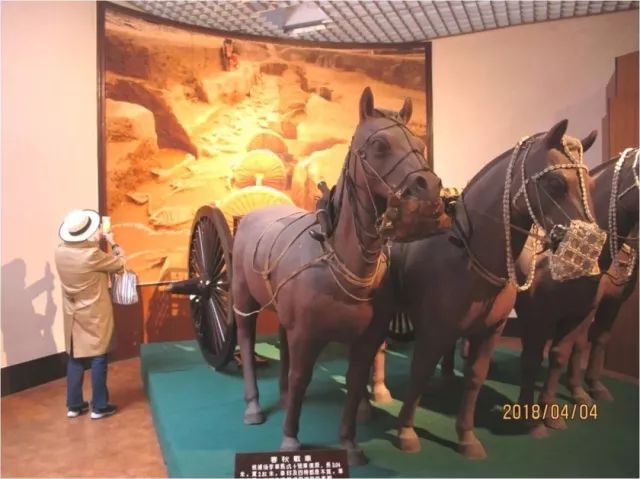 青岛5.1免票景区,6月1日起青岛景区真的免费吗