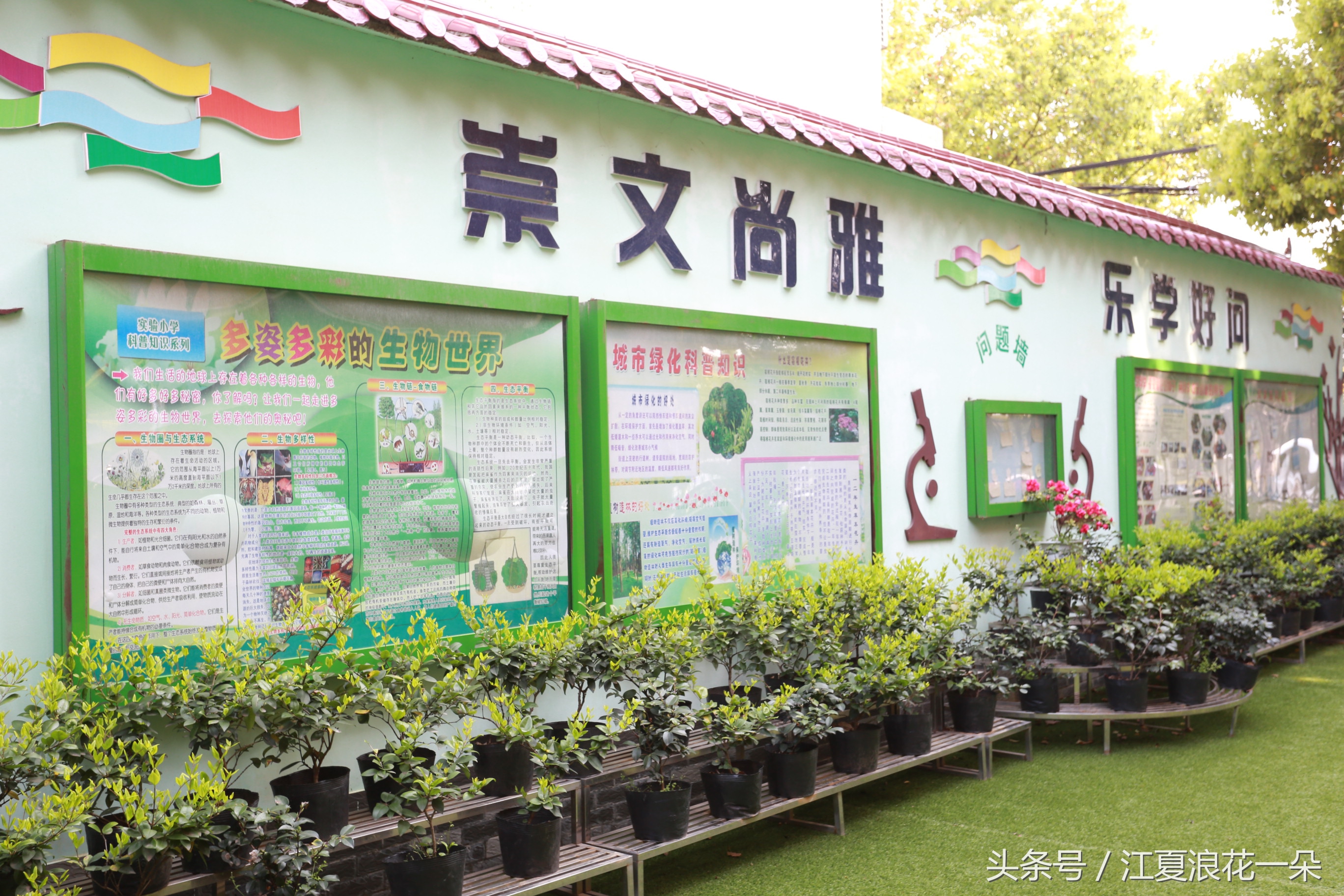 武汉市江夏实验小学,武汉市江夏区实验小学2019