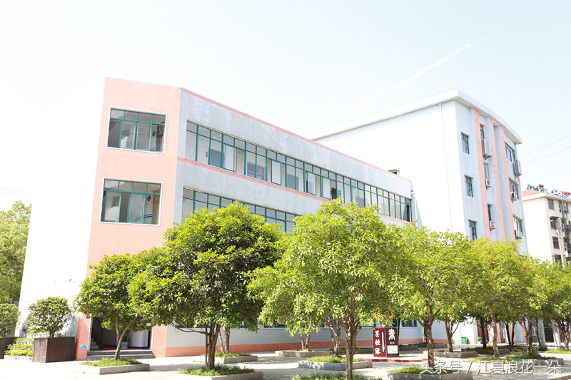 武汉市江夏实验小学,武汉市江夏区实验小学2019