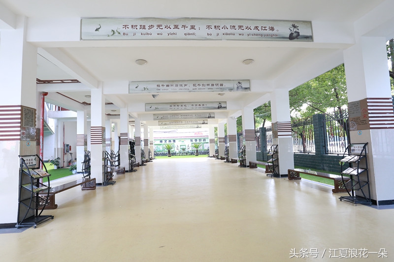 武汉市江夏实验小学,武汉市江夏区实验小学2019