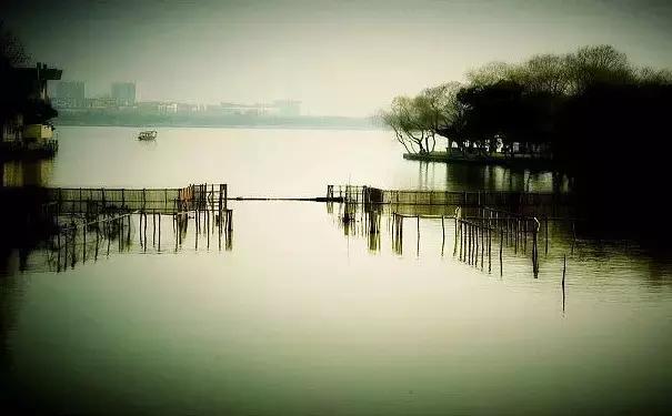 涵养是什么意思详细解释,涵养政治素养的能力有待提高