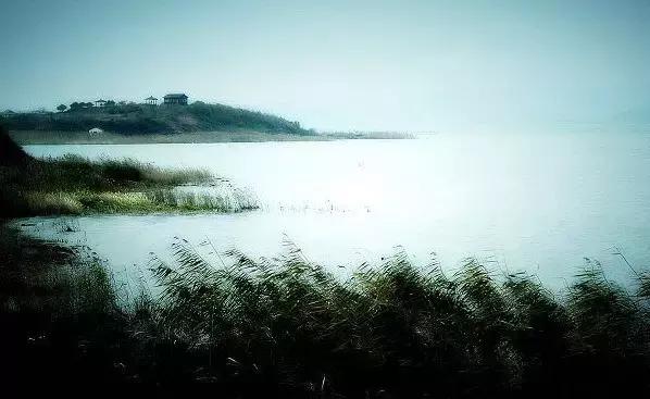 涵养是什么意思详细解释,涵养政治素养的能力有待提高