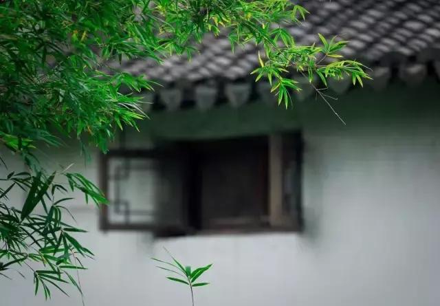 涵养是什么意思详细解释,涵养政治素养的能力有待提高