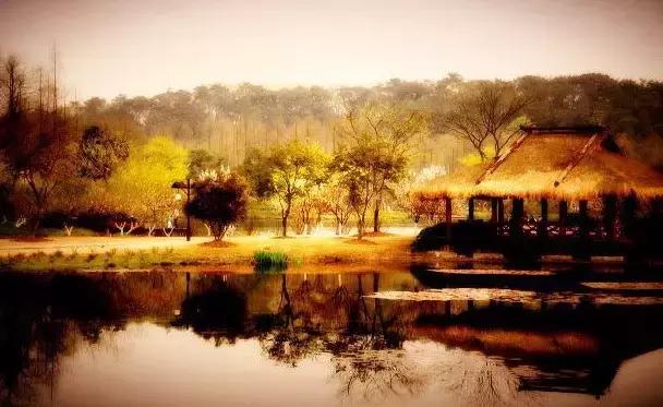 涵养是什么意思详细解释,涵养政治素养的能力有待提高