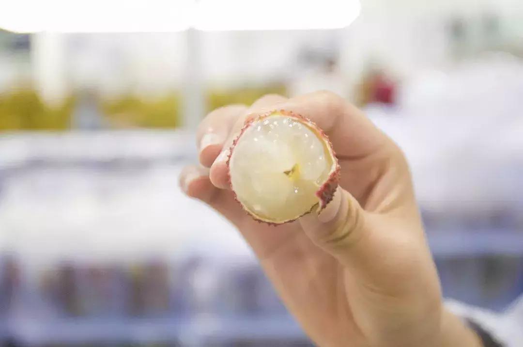 再也不用代购了！来自全球30个国家4000+商品火爆来袭！