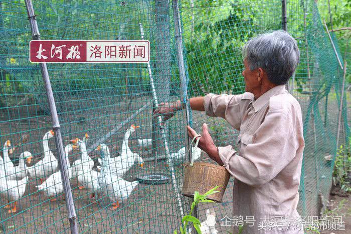 河南老人孤岛养鱼替儿还债：账本从不离身，天天啃馒头吃大蒜！