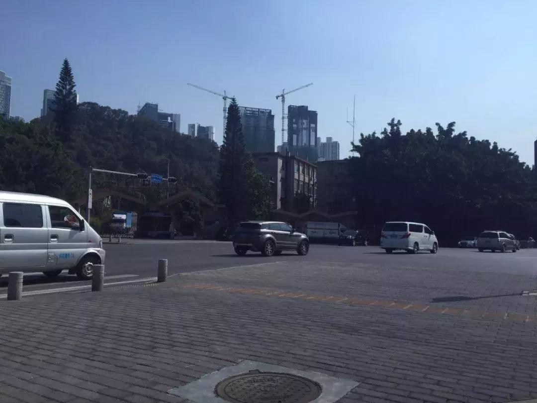 深圳湾最便宜楼盘,深圳湾大面积新盘