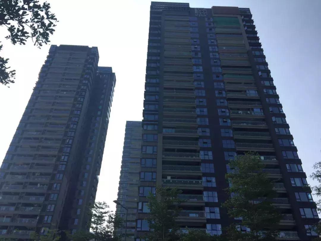 深圳湾最便宜楼盘,深圳湾大面积新盘