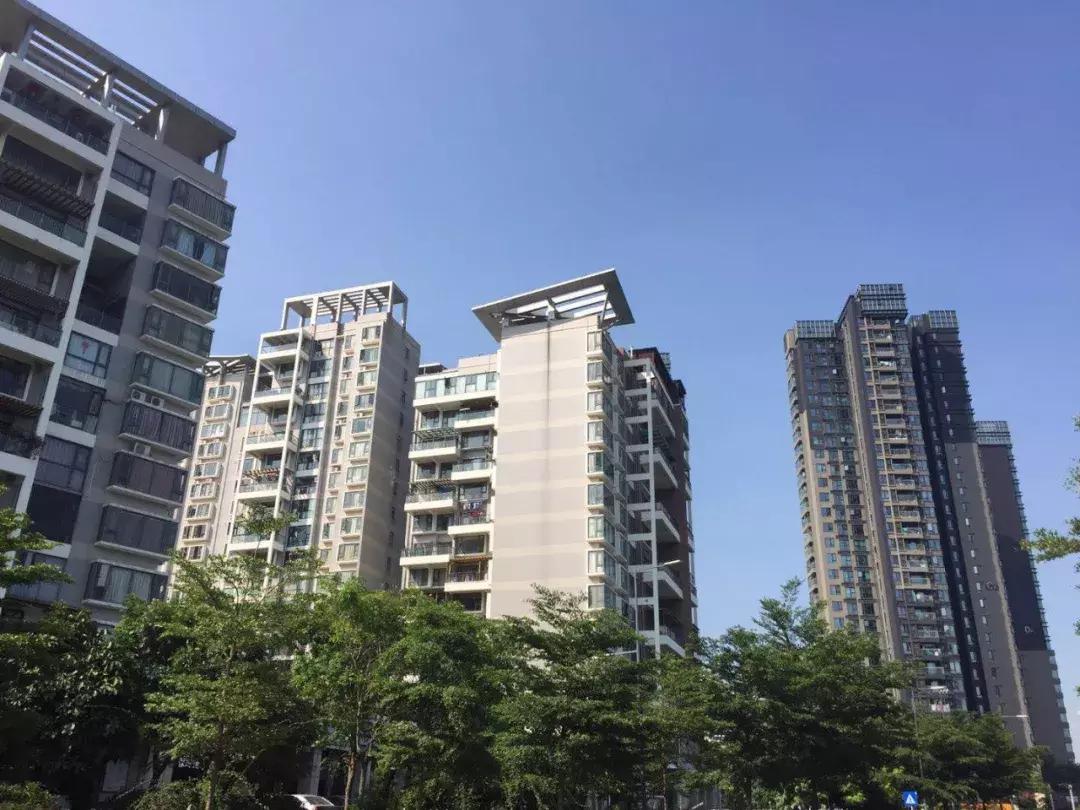 深圳湾最便宜楼盘,深圳湾大面积新盘