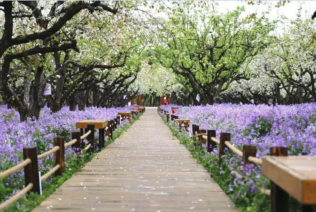 夏天来了怎么办小妙招,夏天来了怎样正确的护肤效果才好