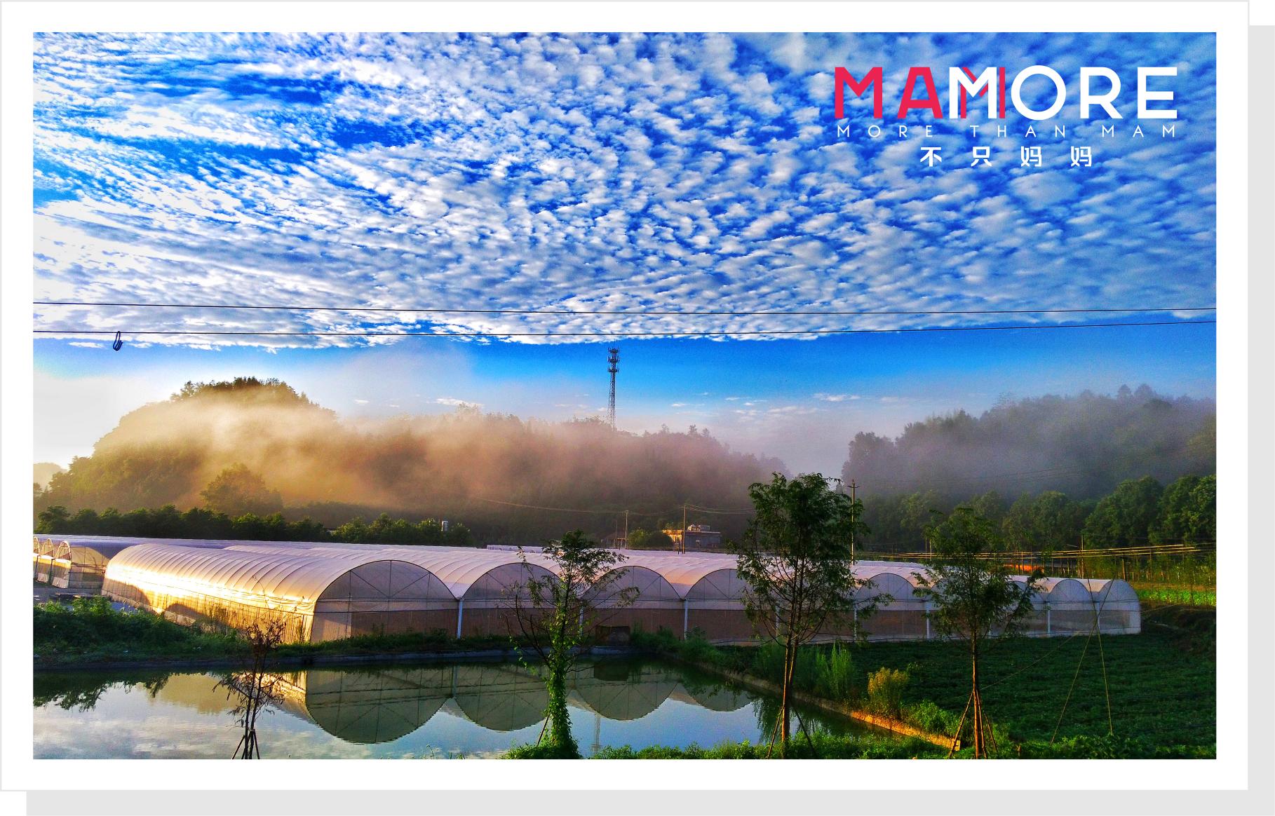 她经历了车祸、听力障碍、抑郁症，这位妈妈如何乐观面对生活的