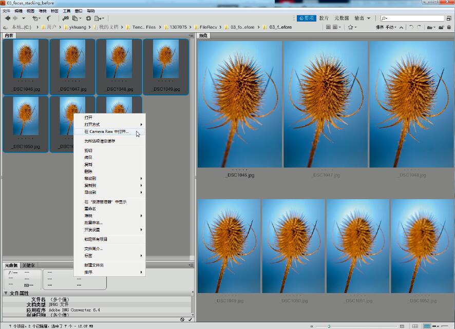 微距摄影后期合成,微距照片景深合成