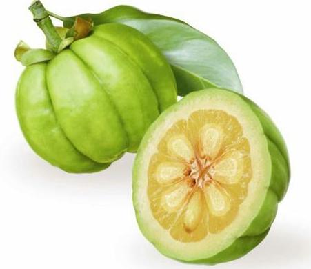 风靡世界的天然*肥药减**，许多国家作为果型草药种植，挺像袖珍南瓜