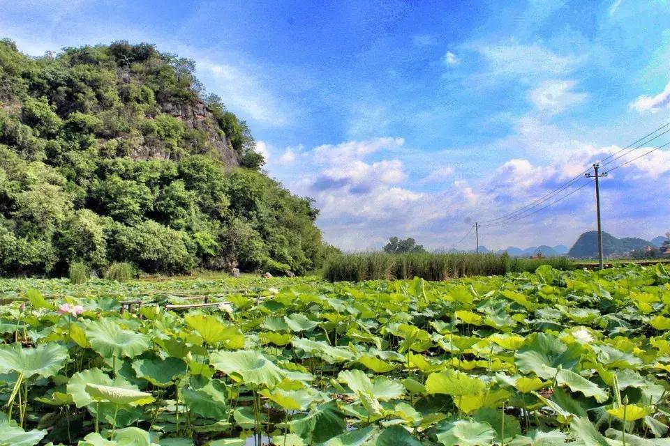 6月份去云南特价机票,昆明出发旅游特价机票