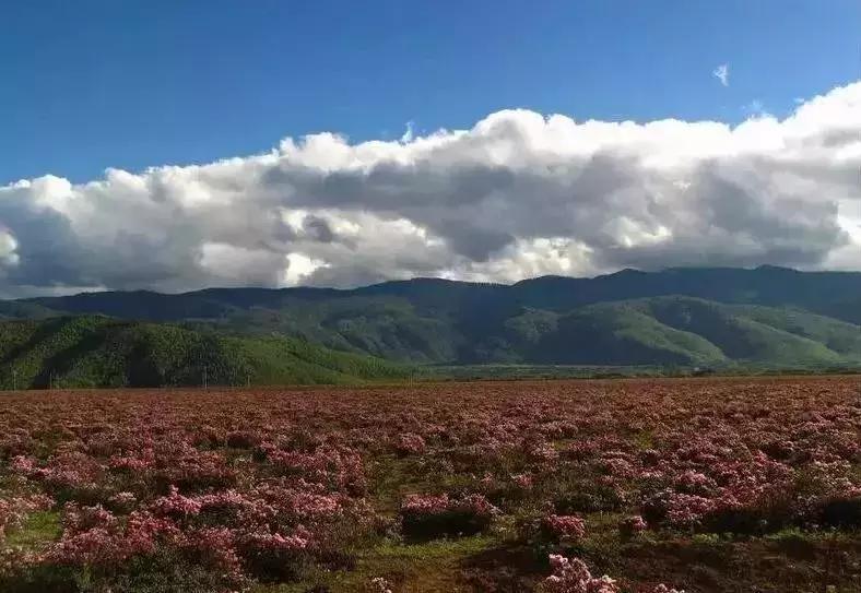 6月份去云南特价机票,昆明出发旅游特价机票