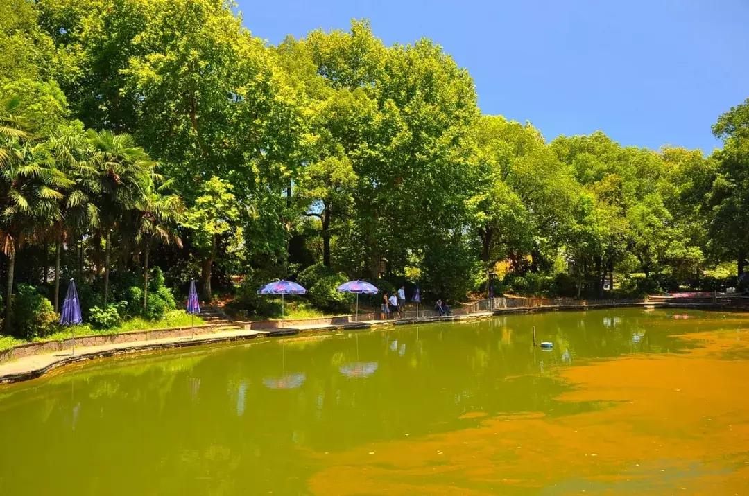 6月份去云南特价机票,昆明出发旅游特价机票