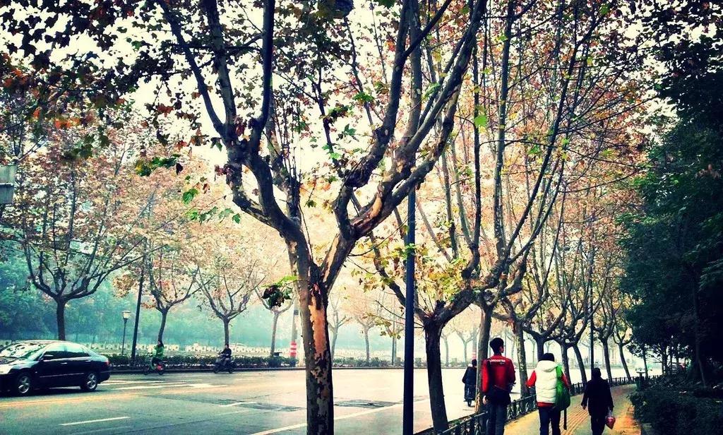 6月份去云南特价机票,昆明出发旅游特价机票