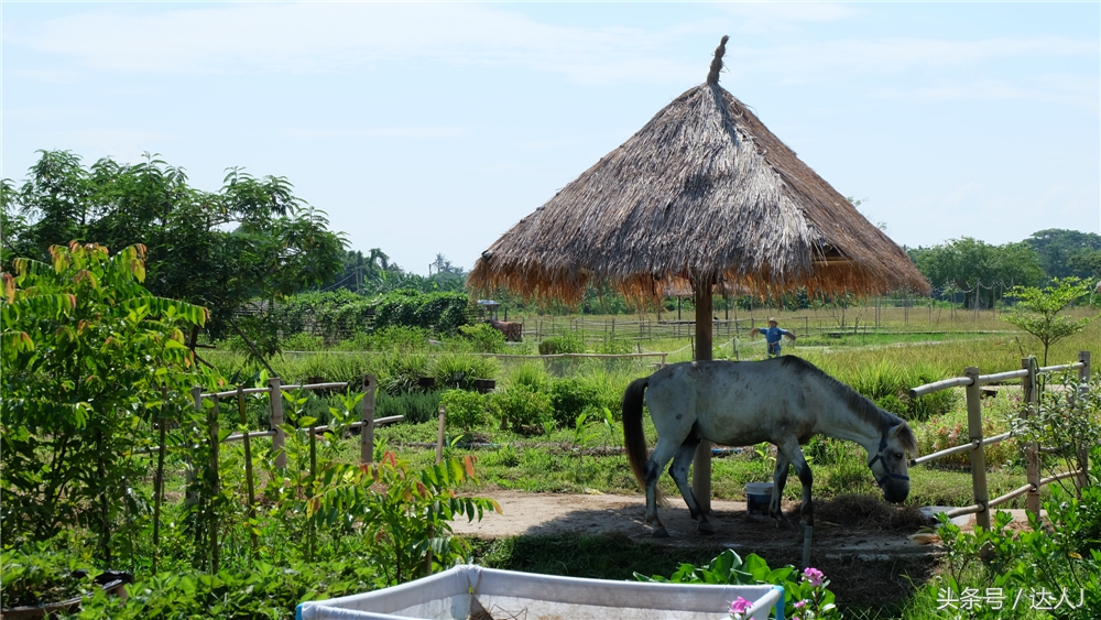 清迈民谣小清新,清迈清新小院