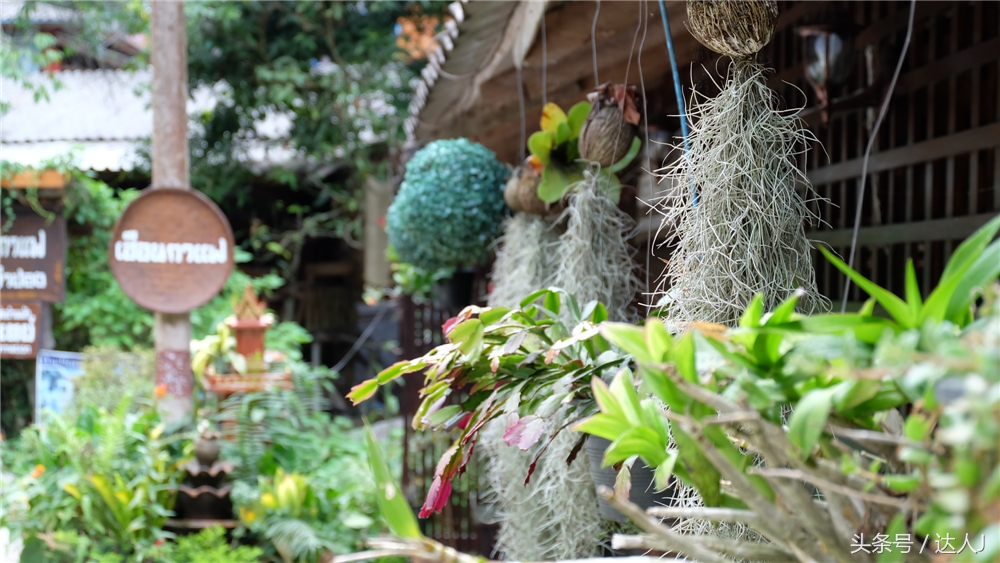 清迈民谣小清新,清迈清新小院