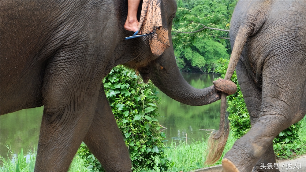 清迈民谣小清新,清迈清新小院
