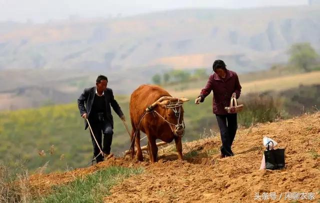 自家坟地旁有别人坟坑怎么处理,离住宅不远处有坟地怎么办