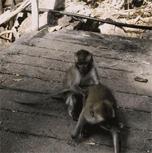 人在囧途之历险,人在囧途之泰囧攻略