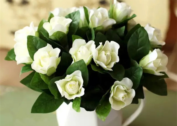 农村伯伯买回一株红色栀子花，侄女却要吃了它，原来栀子花真能吃