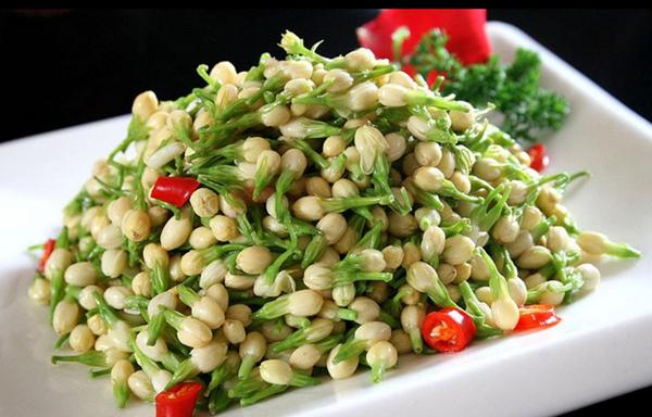 农村伯伯买回一株红色栀子花，侄女却要吃了它，原来栀子花真能吃