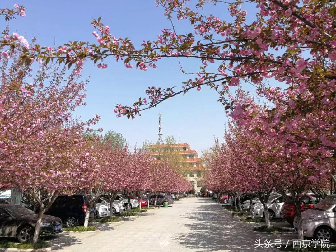 西安市莲湖区我的母校,西京学院位于西安