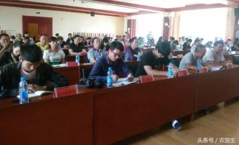 文山三七产业前景,文山三七种植前景