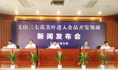 文山三七产业前景,文山三七种植前景