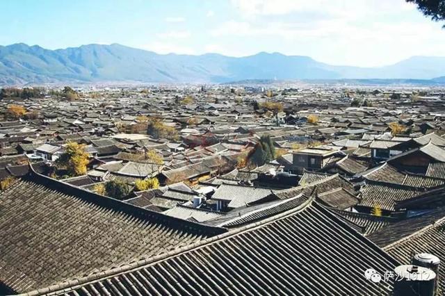 云大女生死亡事件,云大女生杀人案