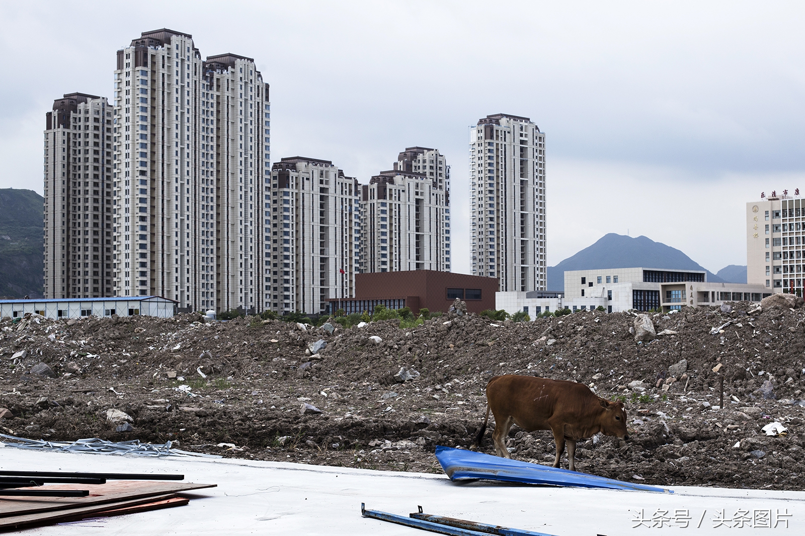 归来的*亡流**：留学法国的温州姑娘拍下了她寻不回的故乡