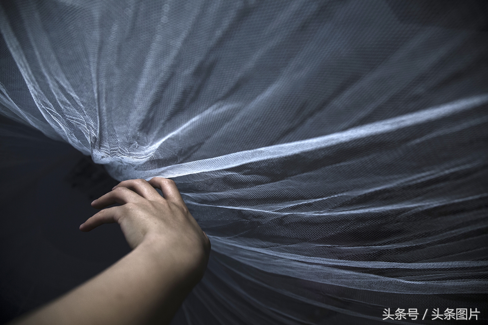 归来的*亡流**：留学法国的温州姑娘拍下了她寻不回的故乡