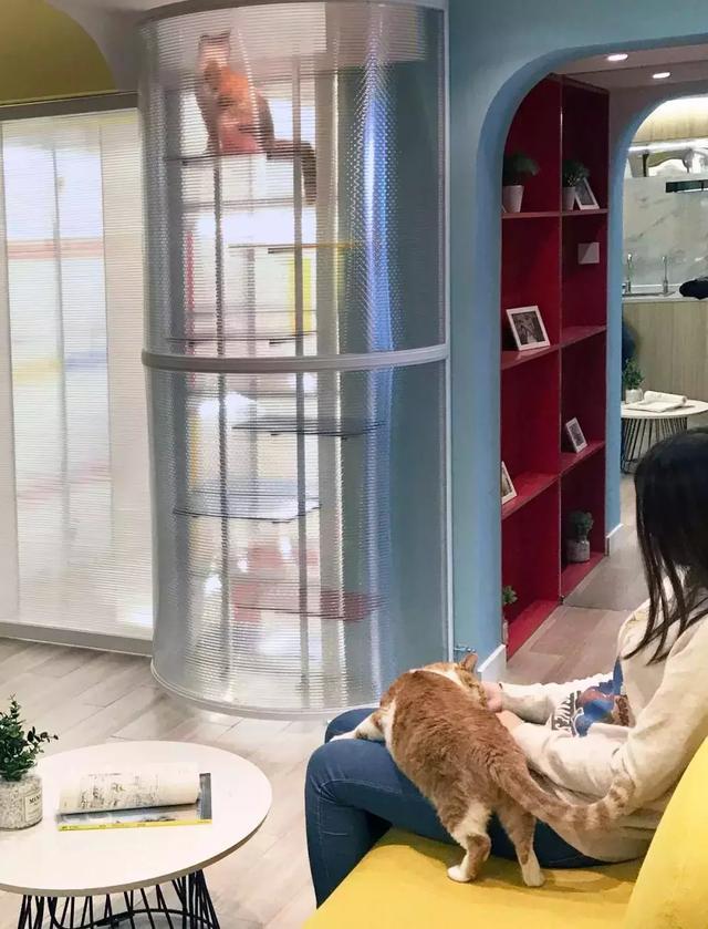 开饭乐：人宠混居的正确打开方式