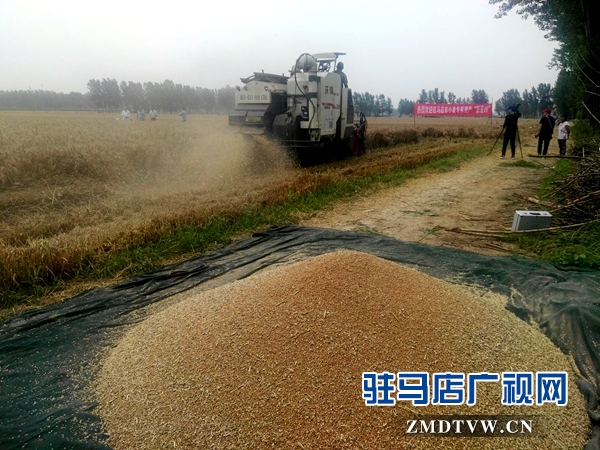 农业专家验收地毯铺到田间地头,农业项目专家验收意见
