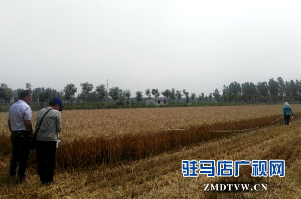 农业专家验收地毯铺到田间地头,农业项目专家验收意见