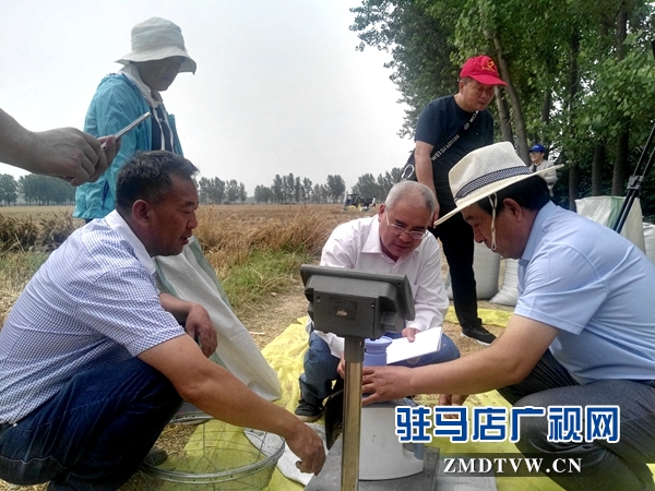 农业专家验收地毯铺到田间地头,农业项目专家验收意见