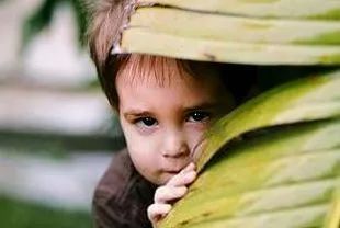 小男孩胆子小如何正确的引导,胆子小的孩子要怎么样引导