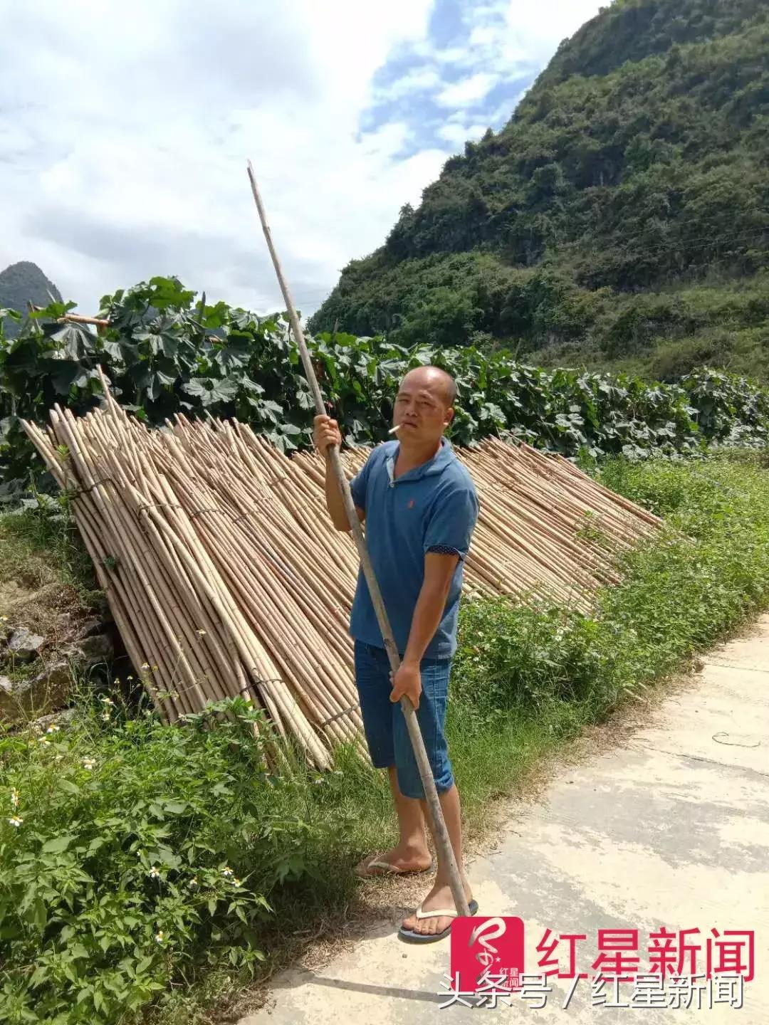 女主播被人在背后捅一刀事件,女主播被粉丝杀事件