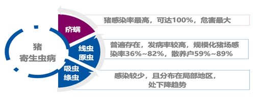0.6%伊维菌素预混剂,伊力佳0.6%伊维菌素预混剂