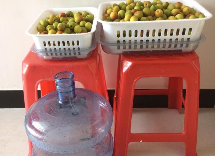 自制梅子酵素清肠排宿便,通便的梅子酵素