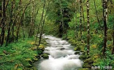 做到这五件事不发财都难,做到这十条运气越来越好