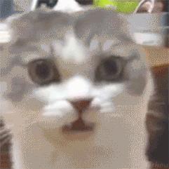 每天洗脚换袜子还是脚臭,为什么天天洗脚换袜子还是脚臭