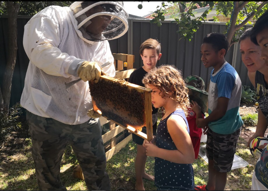 西澳洲农产品,西澳洲蜂蜜