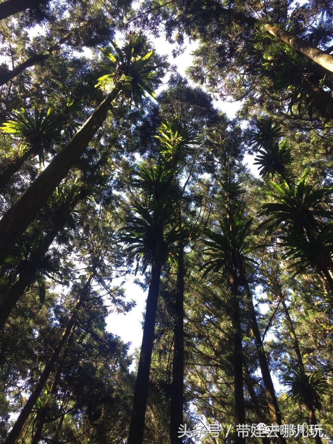 垦丁海洋生物馆夜宿,垦丁夜宿海洋馆攻略